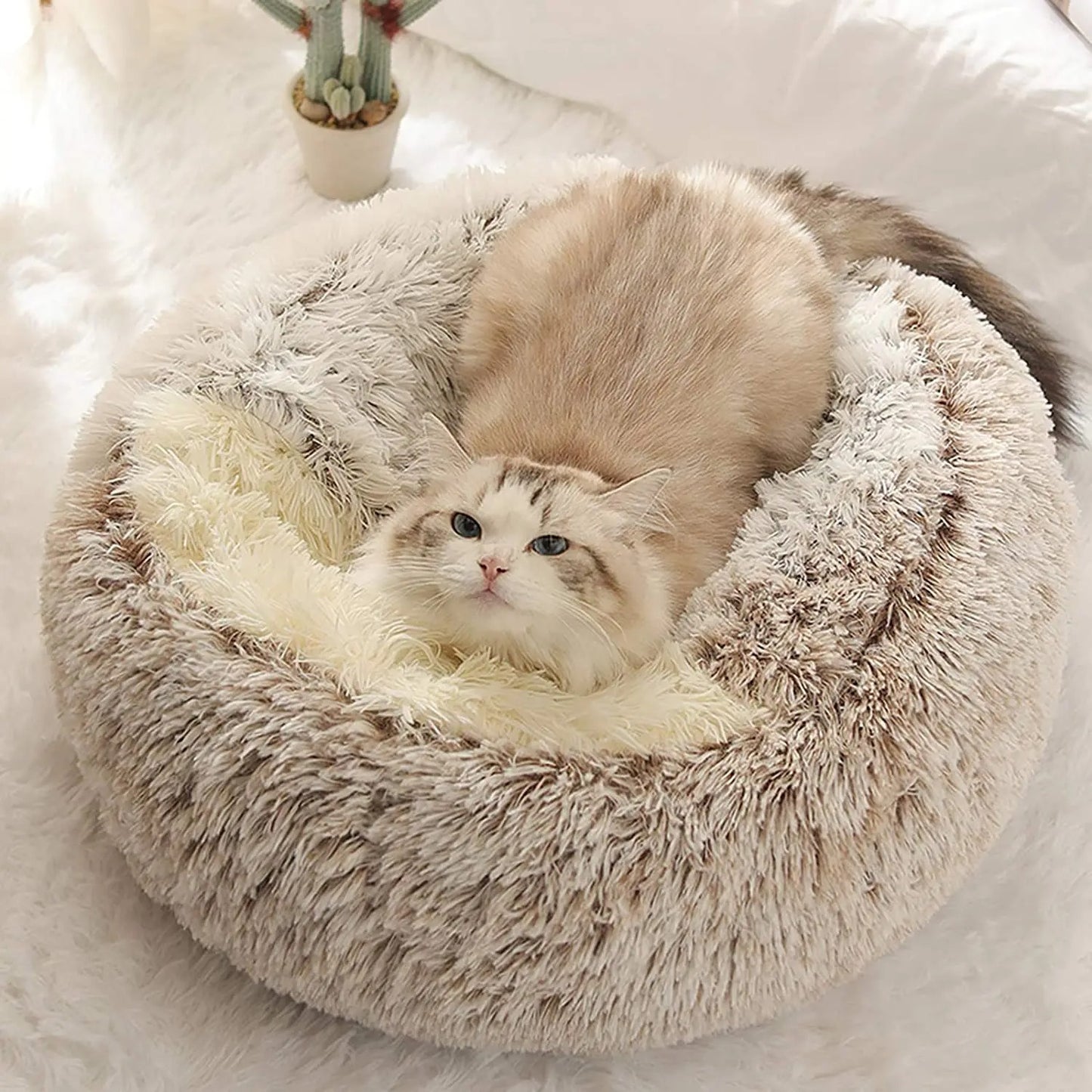 Soft And Cozy Pet Bed