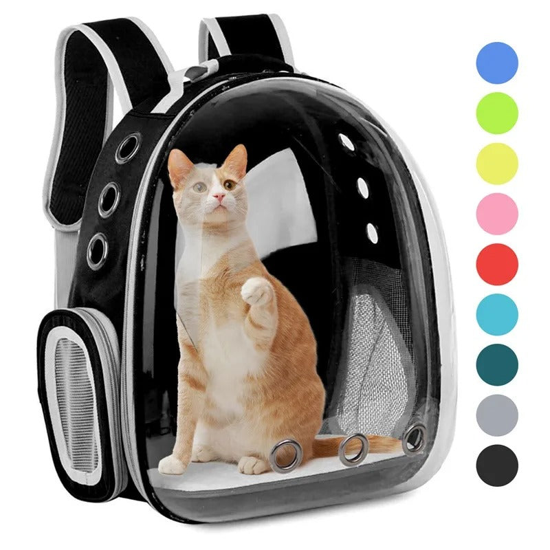 Transparent Pet Carrying Bag