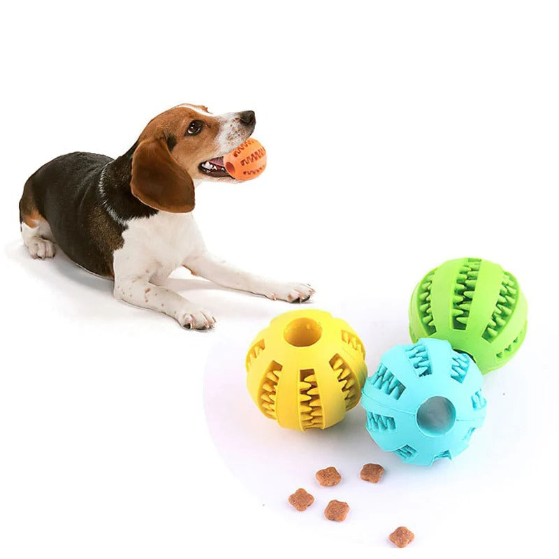 Dog Treat Toy