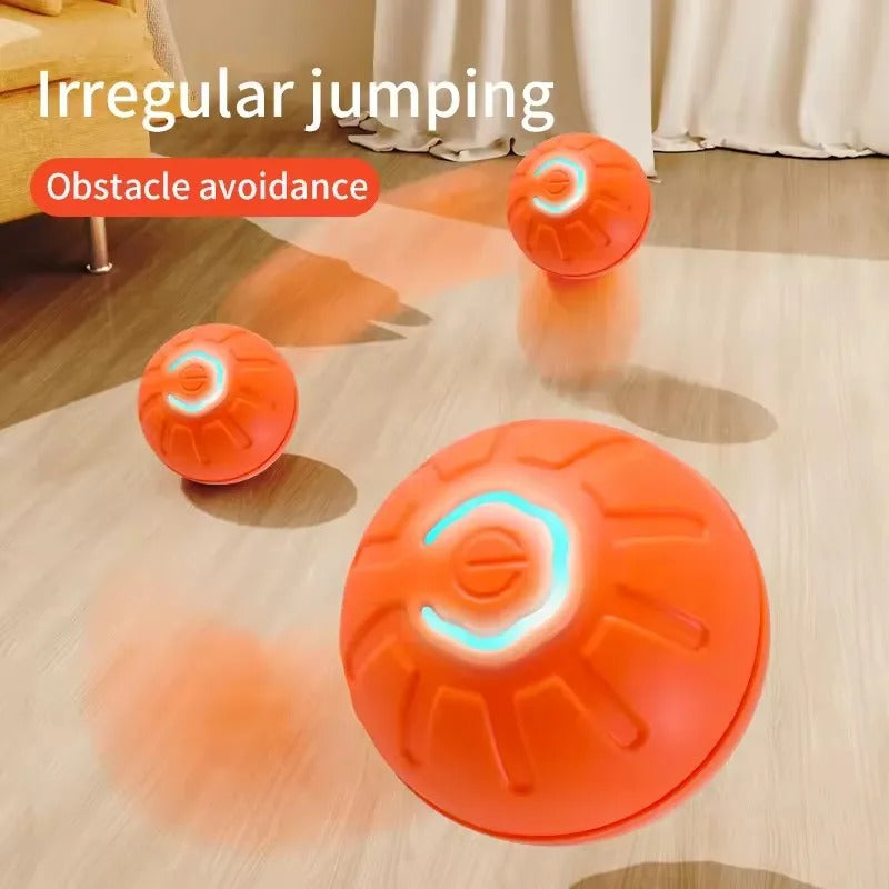 Interactive Moving  Pet Ball