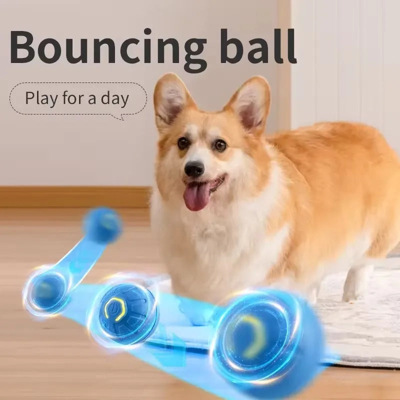 Interactive Moving  Pet Ball