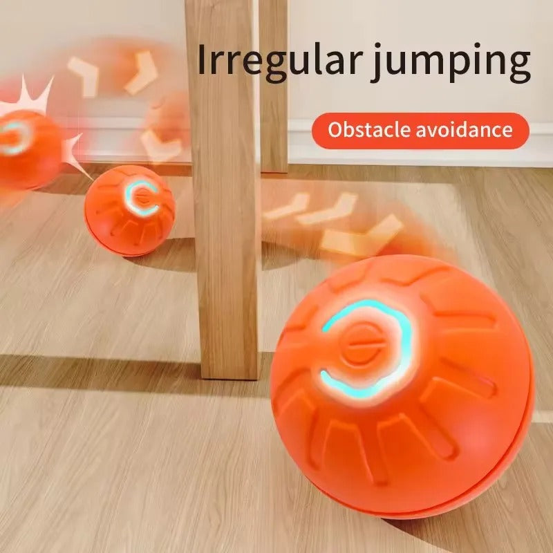 Interactive Moving  Pet Ball