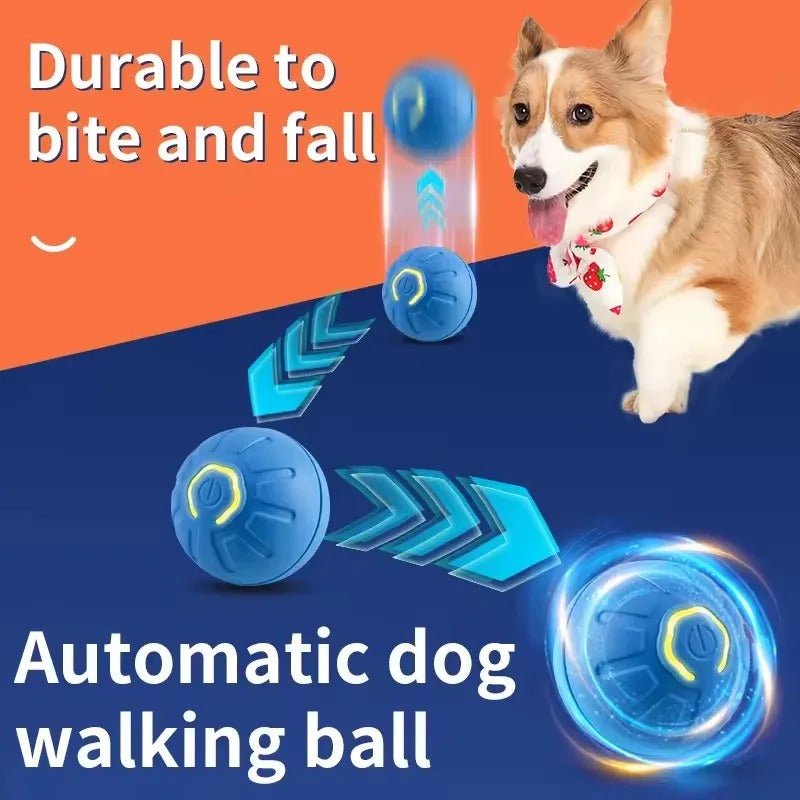 Interactive Moving  Pet Ball