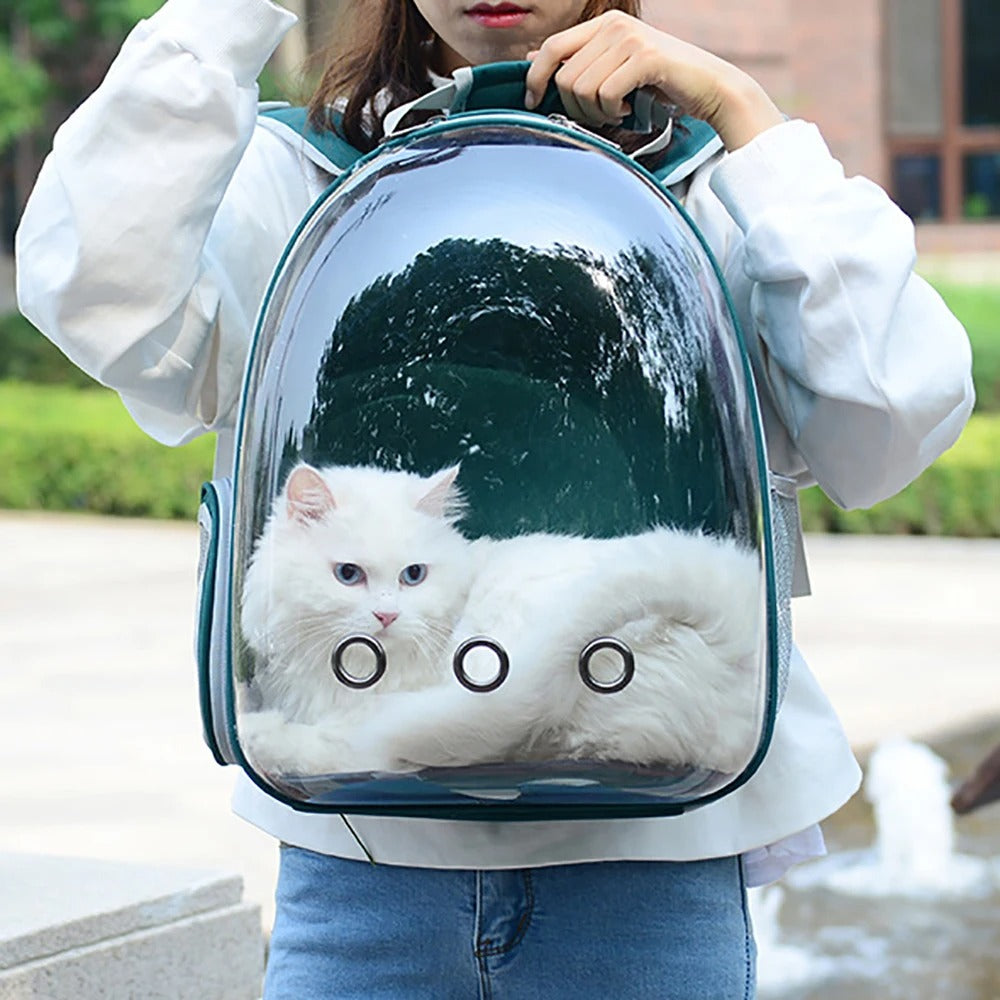 Transparent Pet Carrying Bag