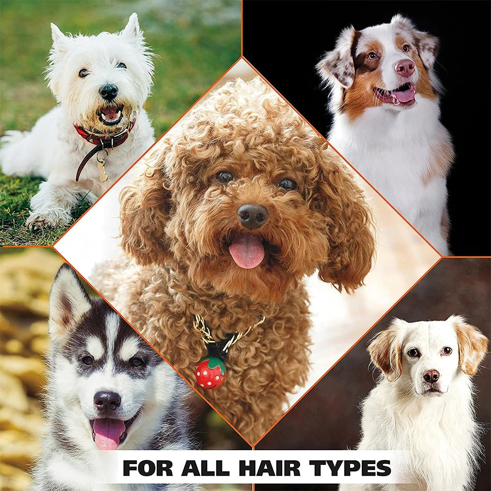 All Natural 4 in 1 Dog Shampoo