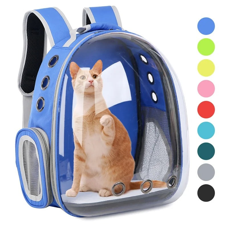 Transparent Pet Carrying Bag