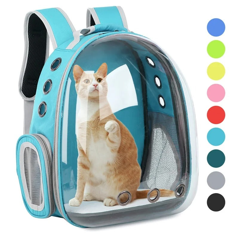 Transparent Pet Carrying Bag