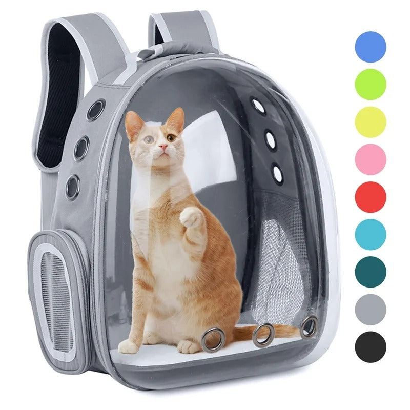 Transparent Pet Carrying Bag