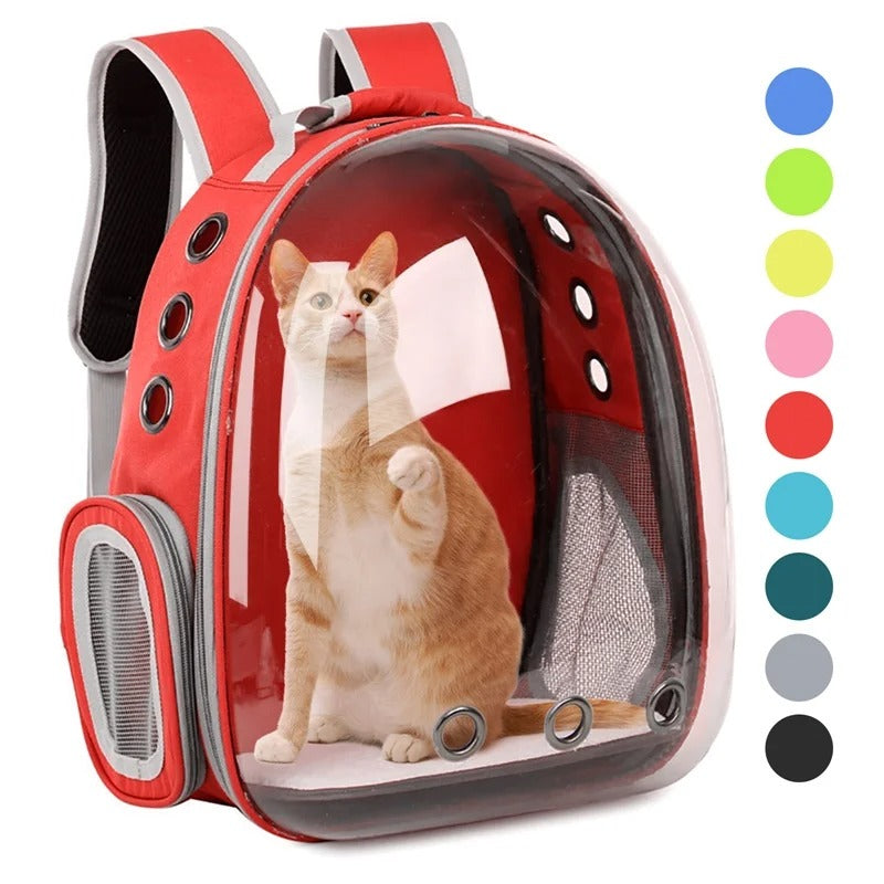 Transparent Pet Carrying Bag