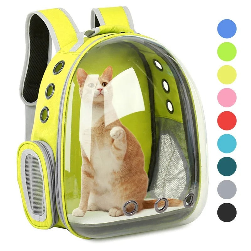 Transparent Pet Carrying Bag